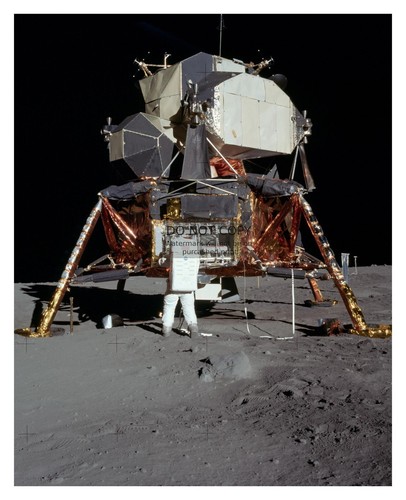 Buzz aldrin apollo - aldrin,