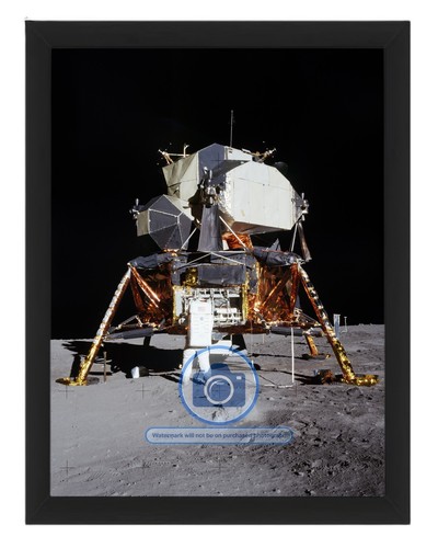 Buzz aldrin apollo passive - buzz, 11