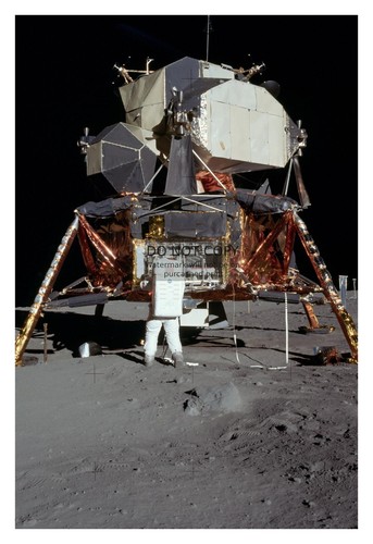 Buzz aldrin apollo - buzz,
