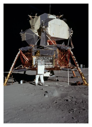Buzz aldrin apollo - aldrin, removing